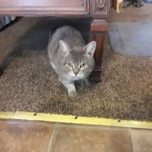 Meet your Posher, Jackie